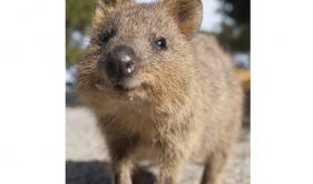 C)Tourism Western Australia