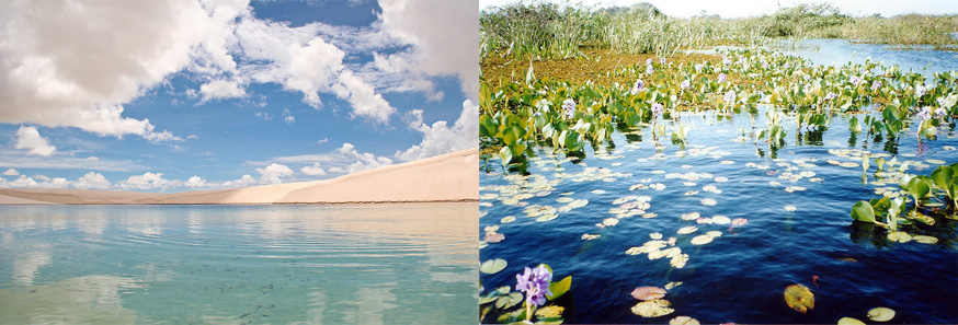 神秘の砂丘湖レンソイスと動植物の宝庫パンタナール大湿原