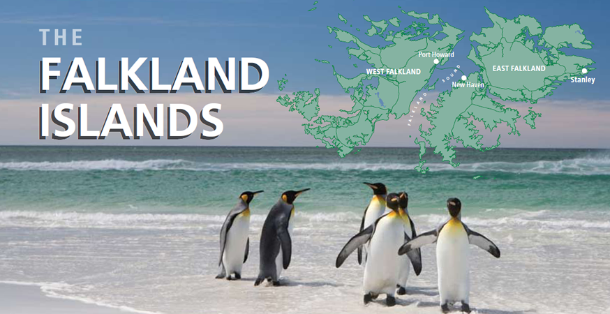 ペンギンたちの楽園&rdquo;フォークランド諸島&rdquo;を訪ねる癒しの旅　12日間