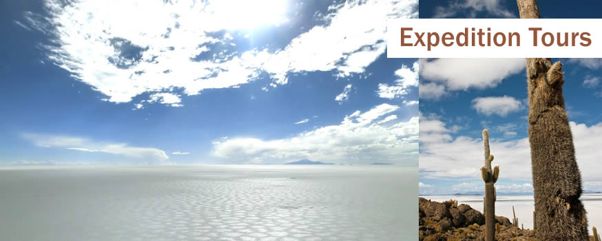 ボリビア・絶景ウユニ塩湖　ラパス・世界遺産ティワナク遺跡を巡る　ラパス発着5日間	