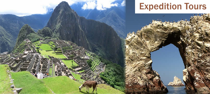 ペルー世界遺産マチュピチュとクスコ市街、ナスカの地上絵・オアシスワカチーナ・バジェスタス島を巡る　リマ発着6日間