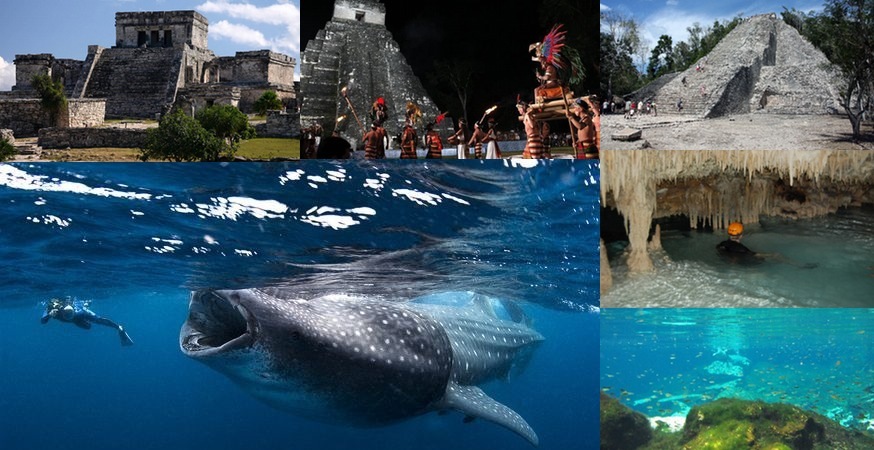 世界最大の魚ジンベイザメと泳ぐメキシコマヤ半島7日間！