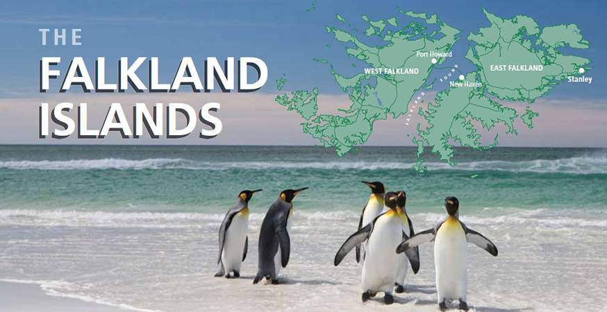 ペンギンたちの楽園&rdquo;フォークランド諸島&rdquo;を訪ねる癒しの旅13日間