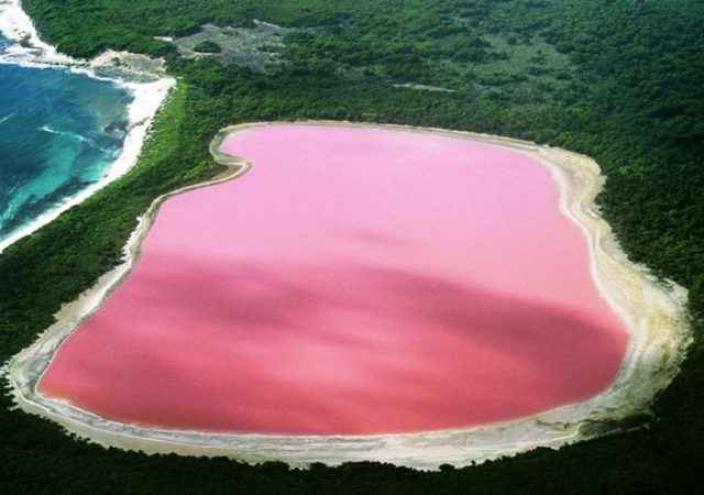 オーストラリア　陸から空から眺めるピンクの湖 &rdquo;ヒリアー湖&rdquo; と荒野を旅する&rdquo;ガウラーレンジ&rdquo;11日間