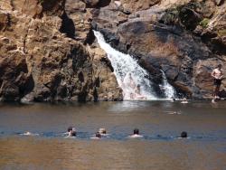 エディス滝で泳いでみよう　画像協力Adventure Tours Australia