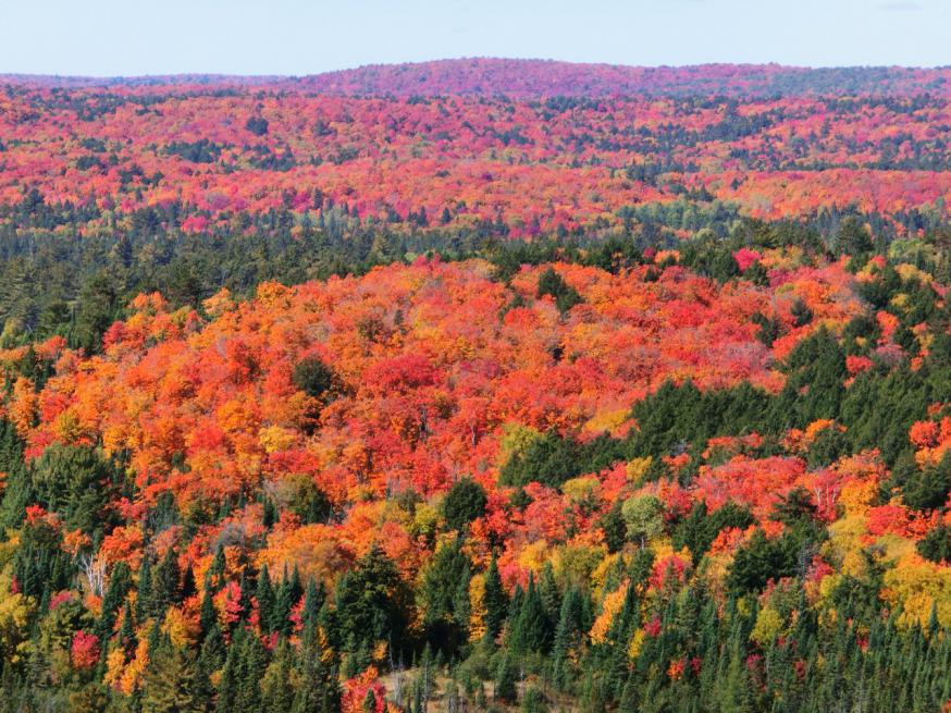 カナディアンロッキーと呼ばれる西部の黄葉と、カナダ東部・オンタリオ州の紅葉を眺める〔１０日間〕