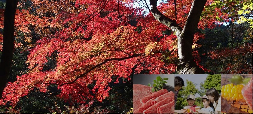 【都民割 + GOTOトラベルキャンペーンでお得】紅葉、温泉、BBQ　SATOYAMA@TOKYO 