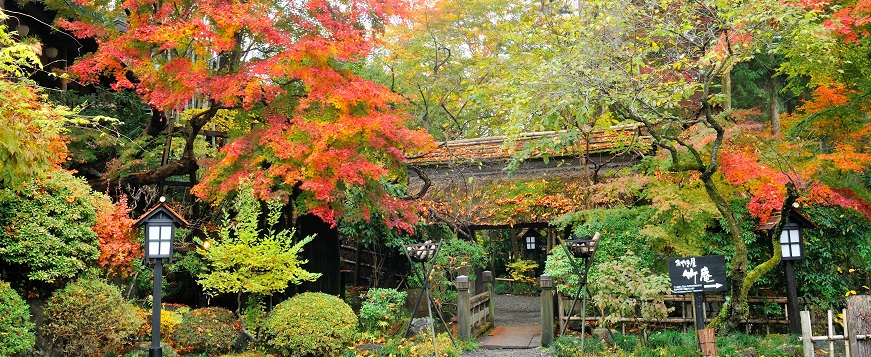 【都民割 + GOTOトラベルキャンペーンでお得】紅葉、懐石、BBQ、コテージ SATOYAMA@TOKYO