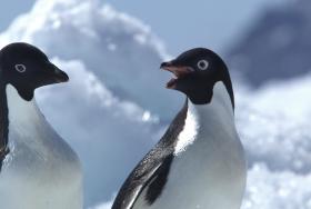 © Wim van Passel - Oceanwide Expeditions