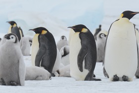 © James Cresswell - Geo-world travel