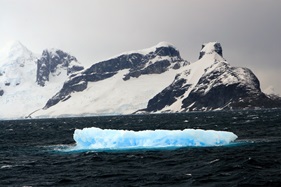 © Miss Scuba - Oceanwide Expeditions