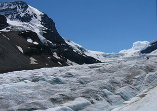 コロンビア大氷原の氷河