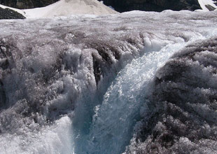 コロンビア大氷原の湧き水