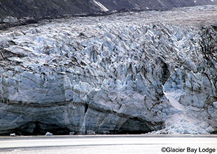 グレイシャー・ベイ国立公園の氷河